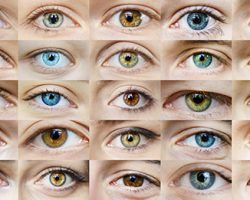 İnsanlarda Nadir Görülen Göz Renkleri Nelerdir?